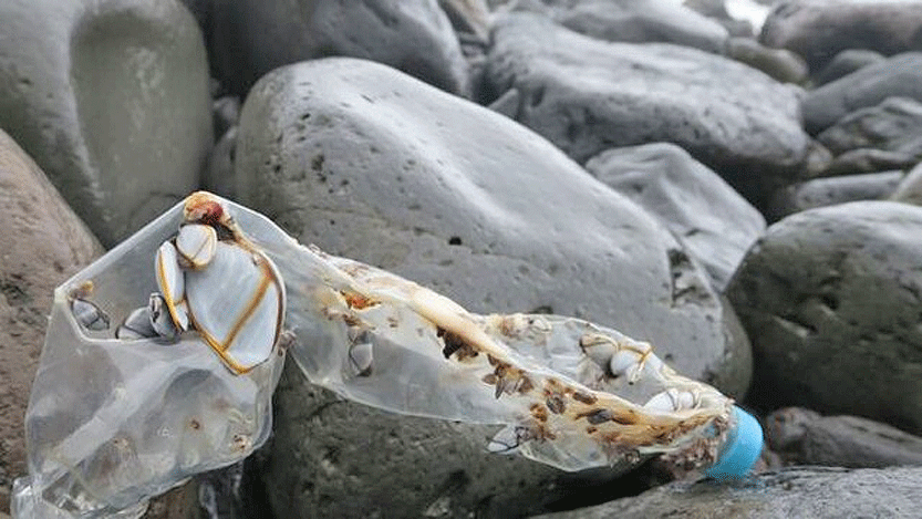 جزیره‌ای که وسعت آلودگی پلاستیکی‌ در دریاها را نشان می‌دهد