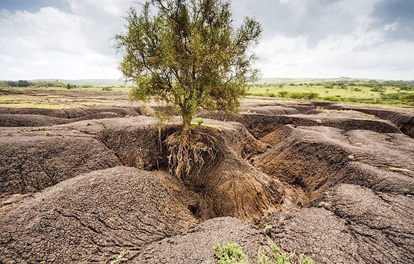 سالانه یک میلیارد تن خاک کشور دچار فرسایش می‌شود