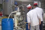 قیمت پیشنهادی شیرخام اعلام شد