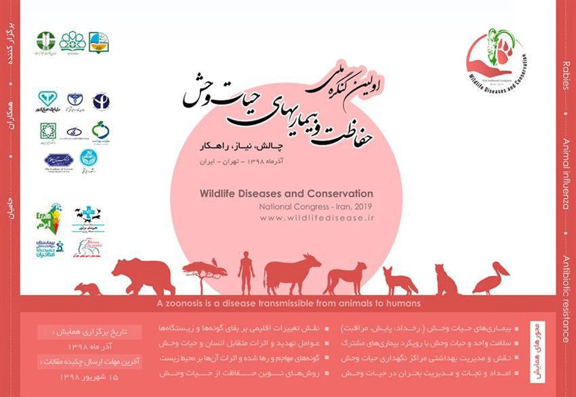 اولین کنگره ملی حفاظت و بیماری‌های حیات وحش آذر ماه برگزار می‌شود