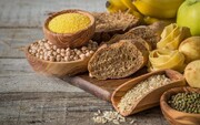کشف جدید پژوهشگران؛ تمایل زیاد به خوردن کربوهیدرات از کجا می‌آید؟