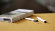 کدام استان‌ها رکورددار مصرف سیگار و قلیانند؟ | راه‌اندازی خط تلفن «ترک دخانیات»