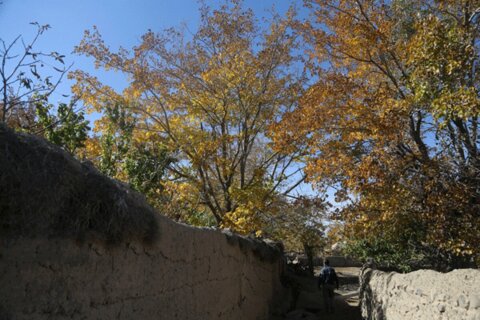 مناظر پاییزی روستای نوفرست