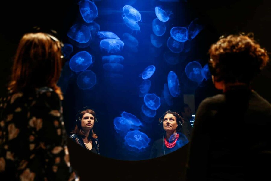 عکس روز: چیدمان عروس دریایی ّImmersive art