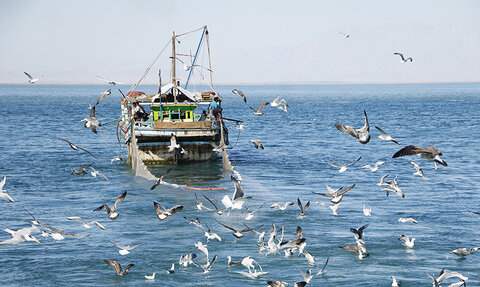 صید سنتی در آبهای خلیج فارس