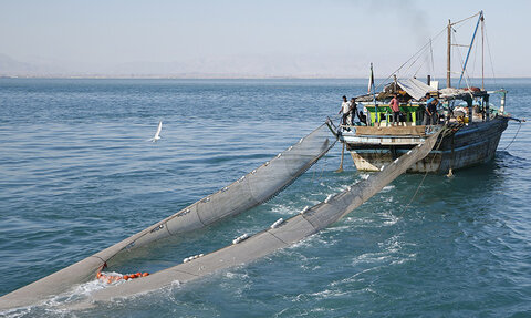 صید سنتی در آبهای خلیج فارس