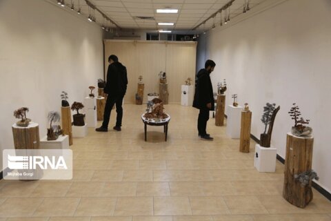 نمایشگاه آثار سیمی