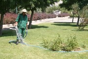 استفاده از پساب برای آبیاری فضای سبز تهران