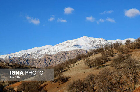 تنگ گنجه‌ای