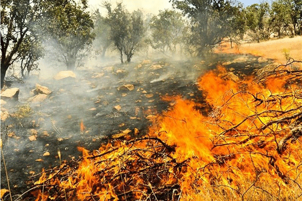 آتش‌سوزی ارتفاعات روستای گله‌جار