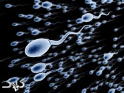 کشف رد پای جهش‌های اسپرم پدر در ابتلای جنین به اوتیسم 