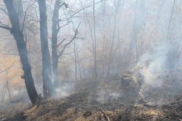 آتش‌‌سوزی جنگل سواد کوه
