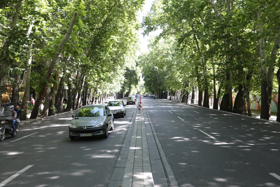 ۱۶ هزار و ۸۶۶ درخت در خیابان ولیعصر ثبت شده‌اند | درختان کهنسال برای ایمن سازی، اسکن می‌شوند