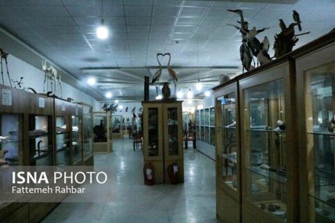 موزه بهاباد