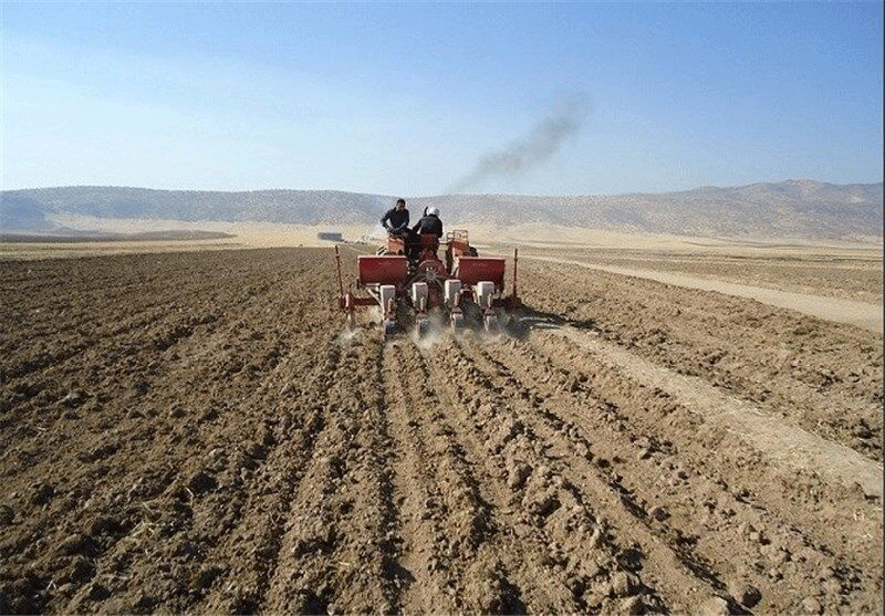 مزارع زیر کشت پاییزه