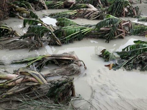 روستاهای زیادی در سیستان و بلوچستان زیر آب رفته‌اند