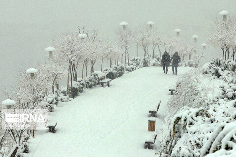 بارش برف روز یکشنبه در تهران