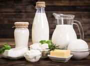کاهش مصرف شیر و لبنیات در ایران | شیر و لبنیات باز هم گران می‌شوند؟