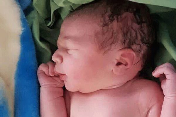 تولد نخستین نوزاد حاصل از تلقیح تخمک فریزشده