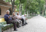 تهران در آستانه پیری | این سه منطقه شهر بیشترین سالمند را دارند
