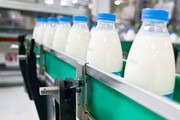 قیمت انواع شیر در بازار | یک لیتر شیر کم چرب چند؟