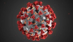 درگذشت ۲ معلم در سیستان و بلوچستان بر اثر کرونا