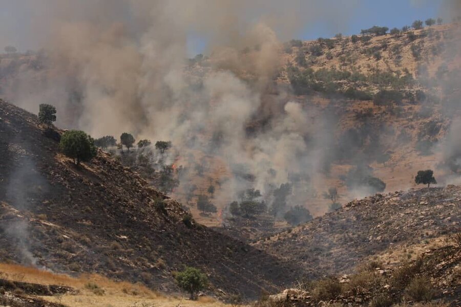 آتش‌سوزی مناطق جنگلی گیلان