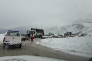 بارش برف در جاده کرج ـ چالوس | خطر در کمین مسافران شمال؛ سفر خود را به تعویق بیندازید