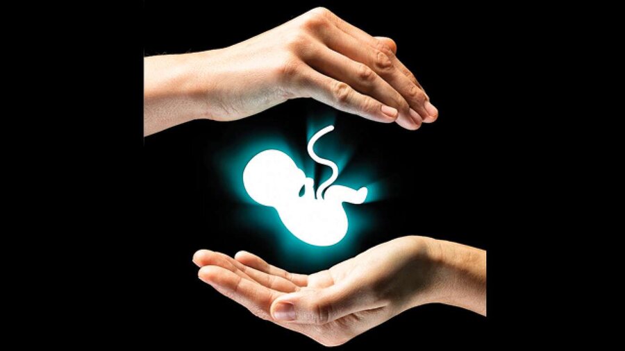 انیمیشن سقط جنین‌های بی‌دلیل همشهری آنلاین