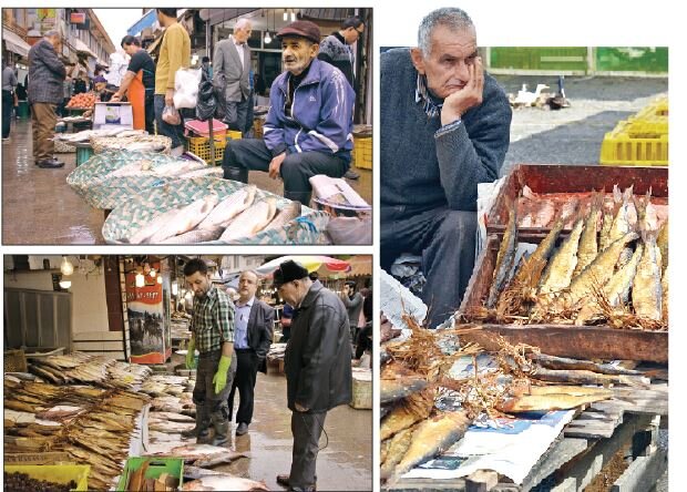 بازار ماهي