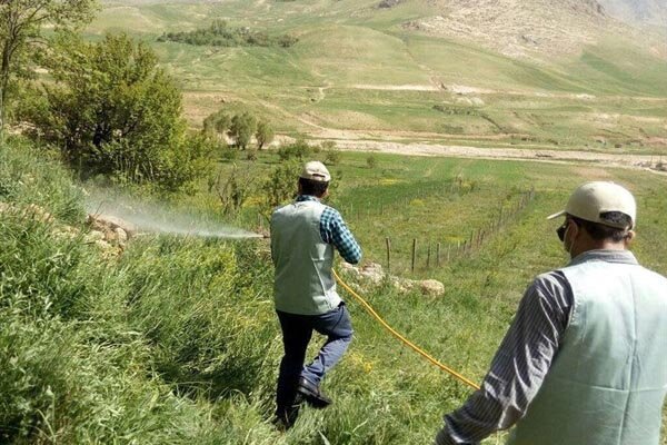 سمپاشی