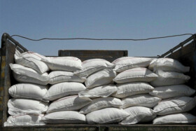 قاچاق آرد نانوایی به قنادی‌ها صحت دارد؟