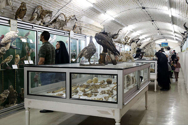 موزه علوم طبیعی بهاباد یزد
