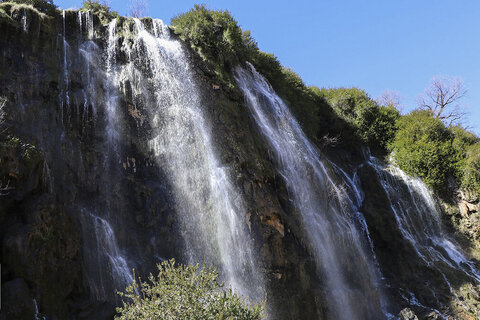 تنگسنان اندیکا