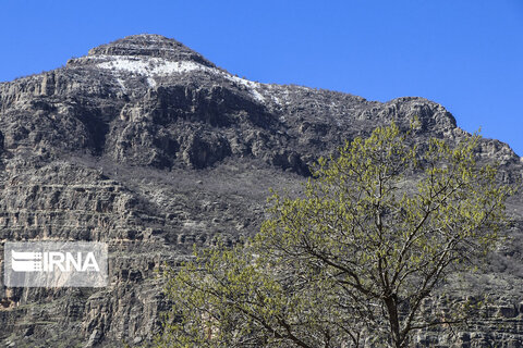 طبیعت بکر و گردشگری تنگسنان اندیکا
