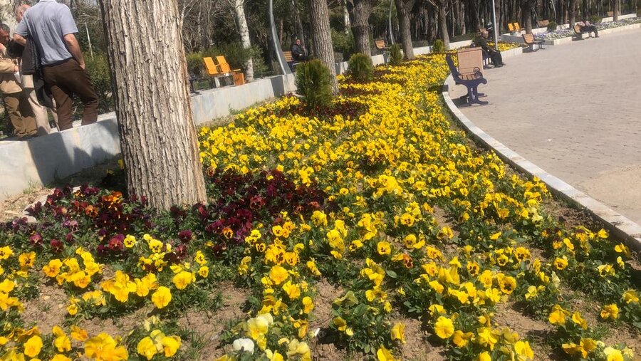 استقبال از بهار در بوستان لاله