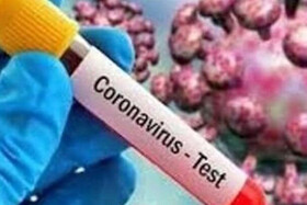 واکنش سازمان جهانی بهداشت درباره پیش‌بینی نقطه اوج شیوع کرونا