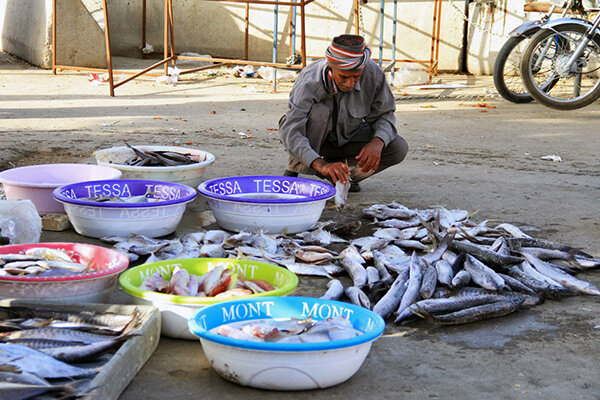 دست فروش ماهی