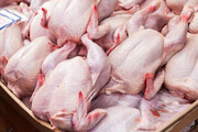 جدیدترین قیمت مرغ در بازار  | مرغ تازه کیلویی چند؟