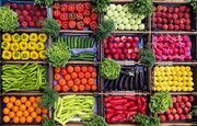 لبنیات نمی‌خورید؟ | ۱۱ گزینه گیاهی برای افزودن به رژیم غذایی
