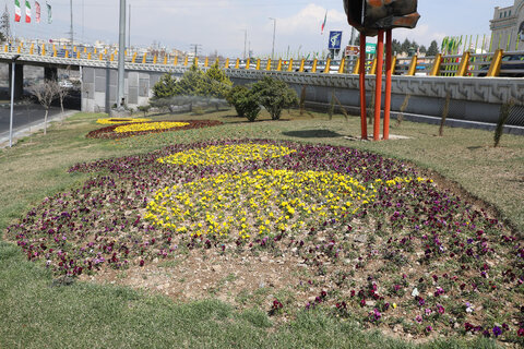 کاشت گل های بهاری در منطقه۱۳