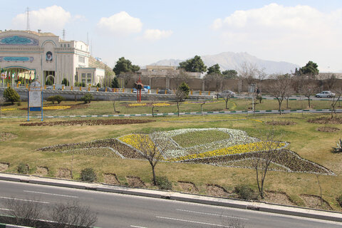 کاشت گل های بهاری در منطقه۱۳