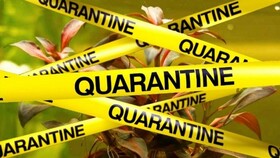 عکس | مردم ووهان چین اینگونه از موانع قرنطینه عبور می‌کنند