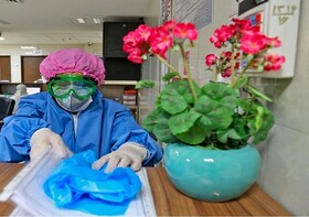 نوروز کرونایی را چگونه سپری کنیم؟