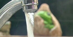 شکسته شدن رکورد ۵۰ ساله مصرف روزانه آب در تهران