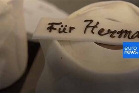 فیلم | کیک دستمال‌ توالت در آلمان