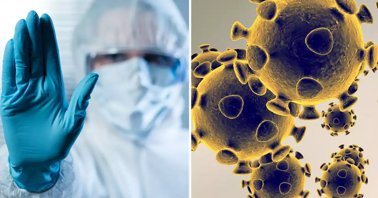 فیلم | به همین راحتی می‌توانیم باعث انتشار ویروس کرونا شویم