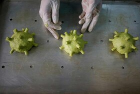 عکس روز| کوفته کرونا