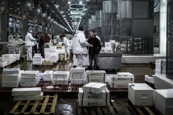 سردخانه فروشگاه مواد غذایی، محل نگهداری اجساد کرونایی در فرانسه