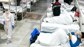 همه آمارهای کرونا در ایران ؛ سن و جنس مبتلایان | ۵ سناریوی پیشروی کرونا در ایران